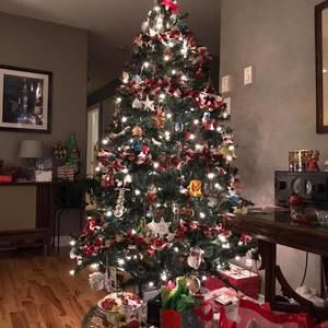 Meet your Posher, Joanne